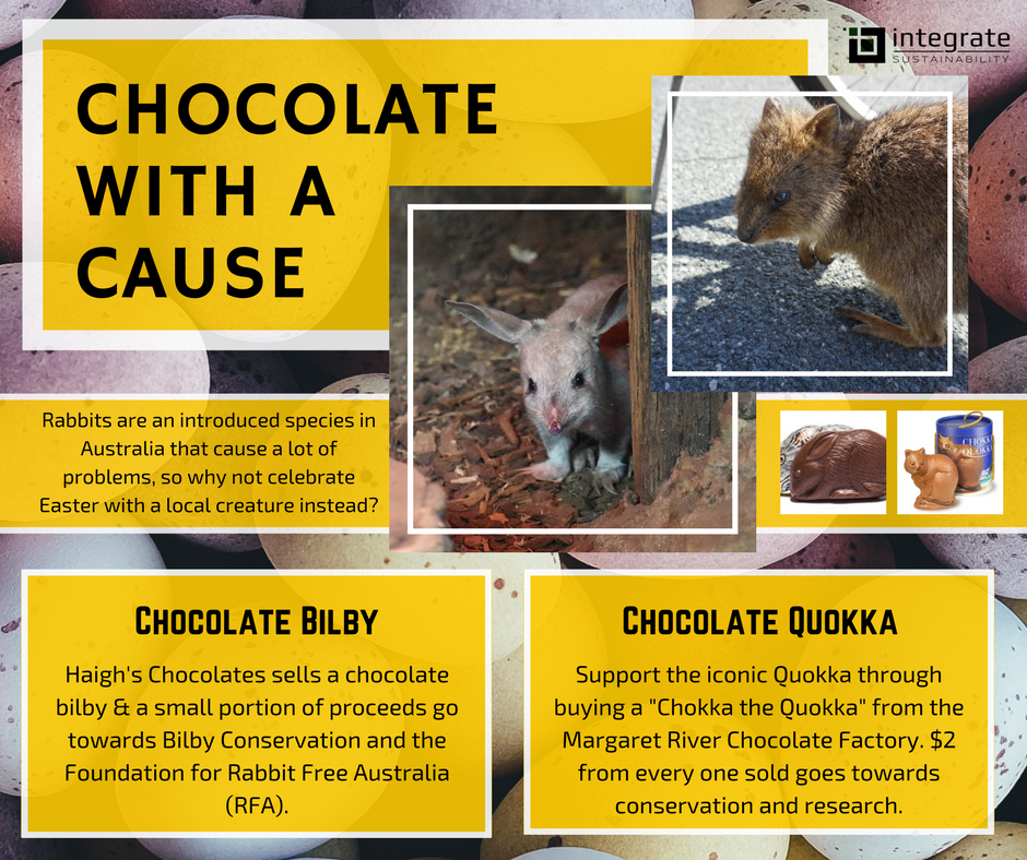 Easter Chocolate Australia