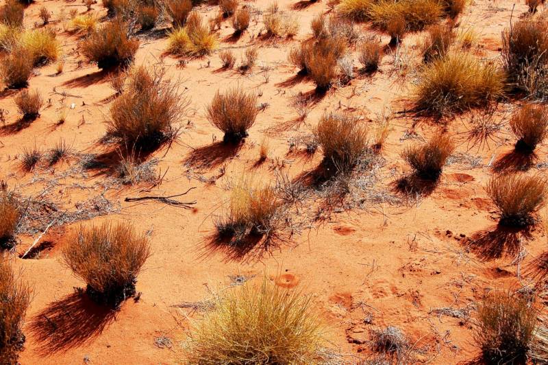desertification & drought