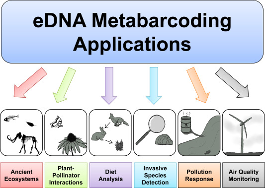 eDNA Metabarcoding Applications
