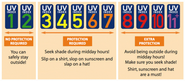 UV Daily UV Index