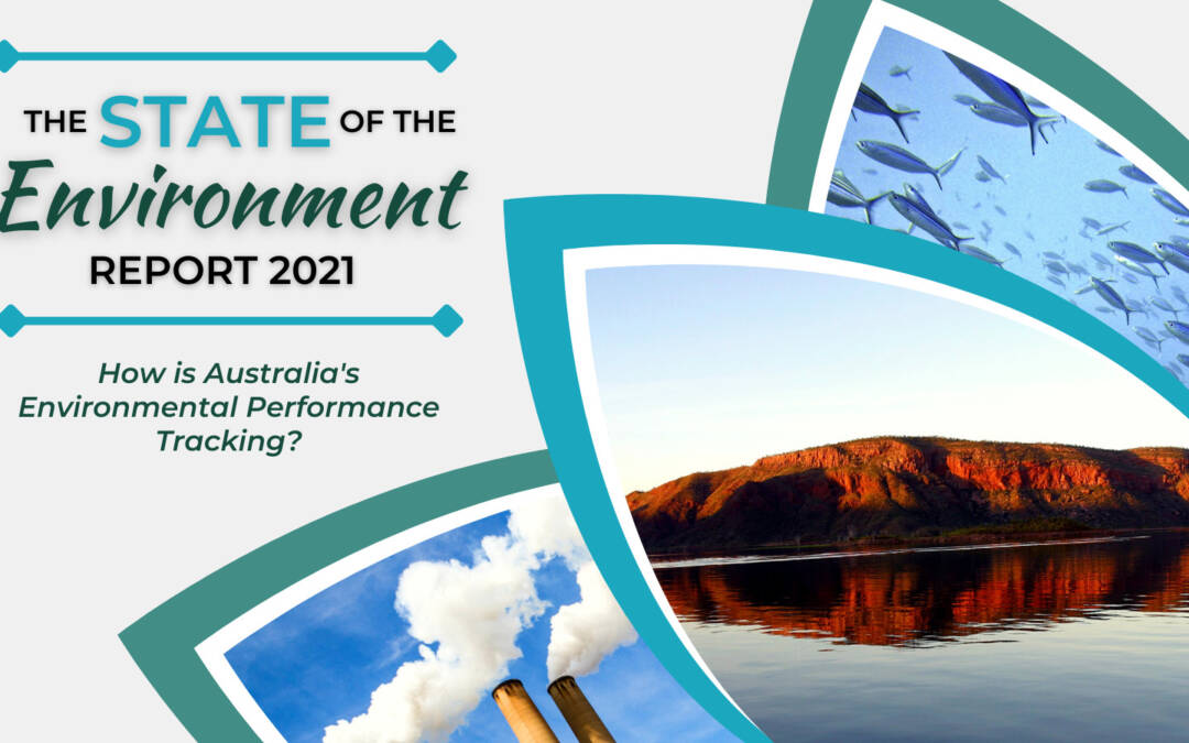 The State of the Environment Report 2021