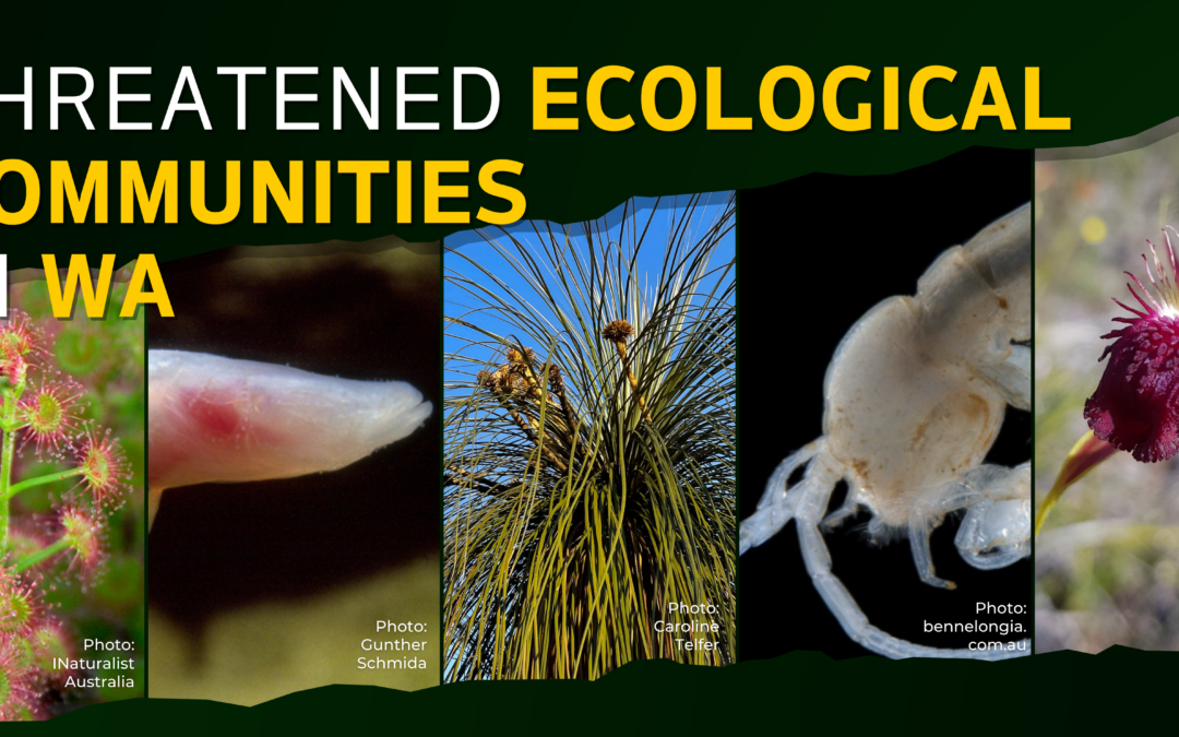 Threatened Ecological Communities in WA