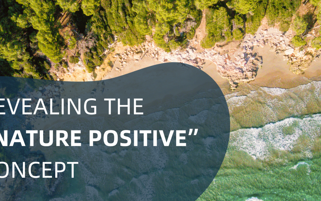 Revealing the “Nature Positive” Concept