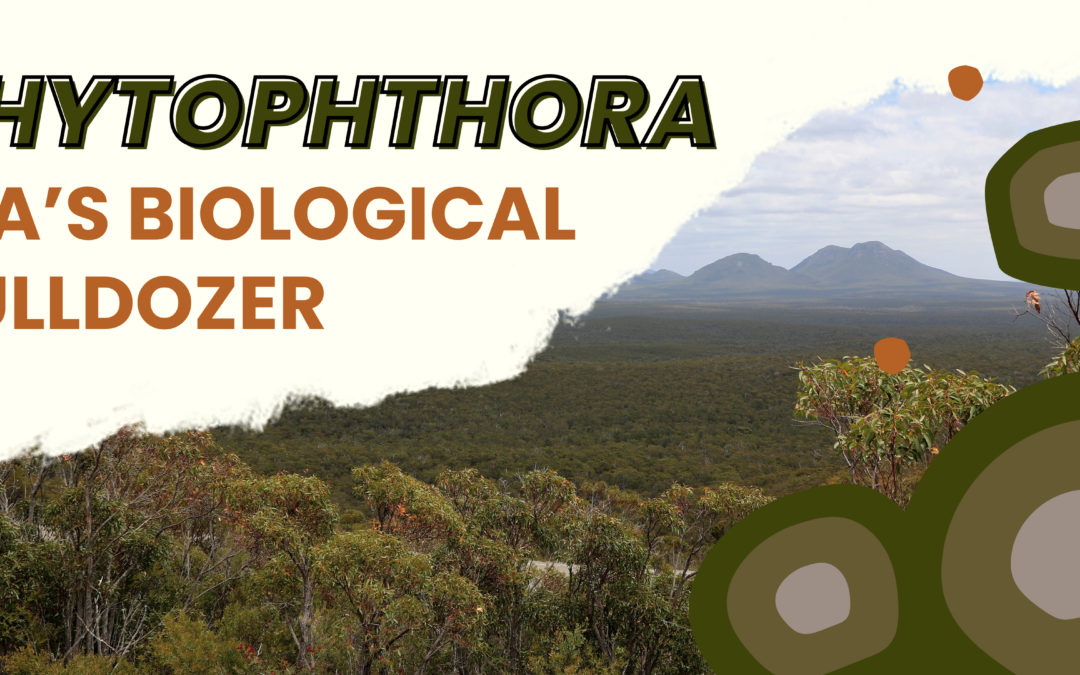 PHYTOPHTHORA Insight Title